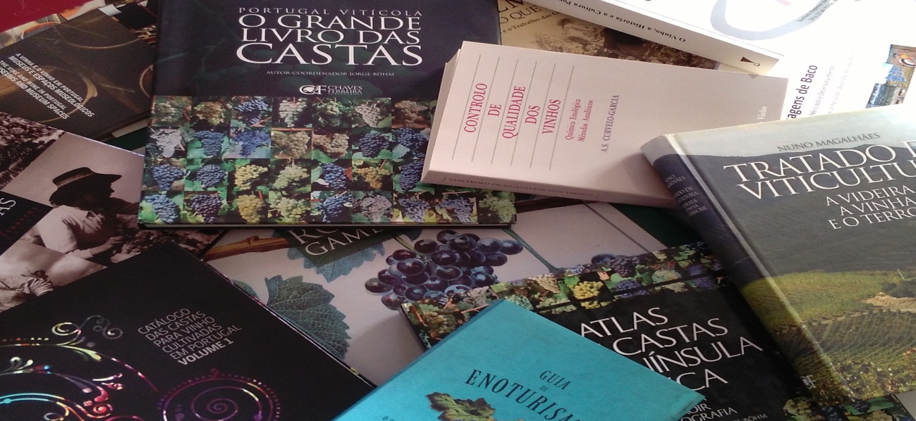 Newsletter n.º 36 - Foto 3